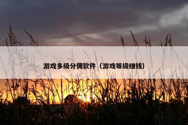 游戏多级分佣软件（游戏等级赚钱）