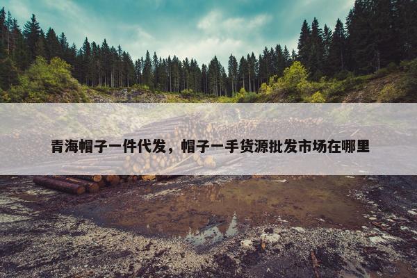 青海帽子一件代发，帽子一手货源批发市场在哪里