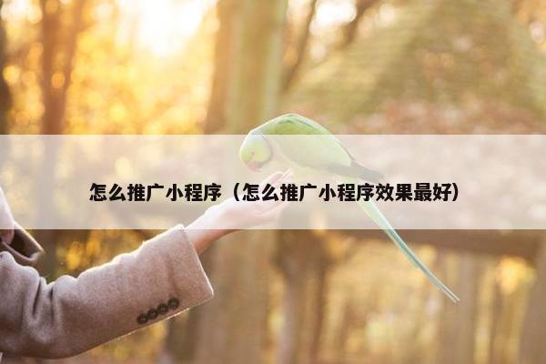 怎么推广小程序（怎么推广小程序效果最好）