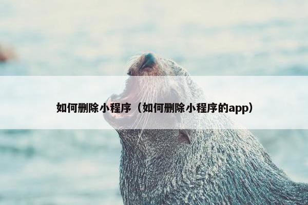 如何删除小程序（如何删除小程序的app）
