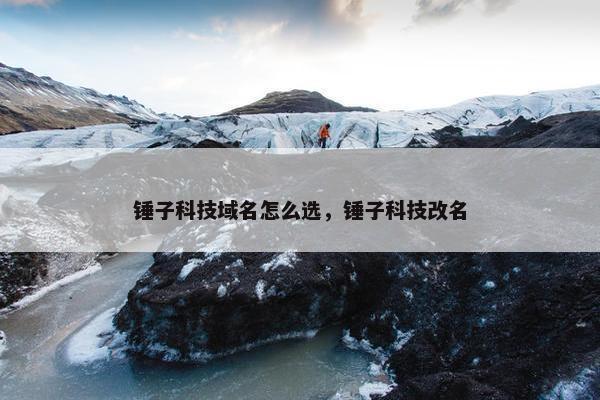 锤子科技域名怎么选，锤子科技改名