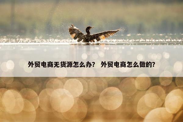 外贸电商无货源怎么办？ 外贸电商怎么做的？