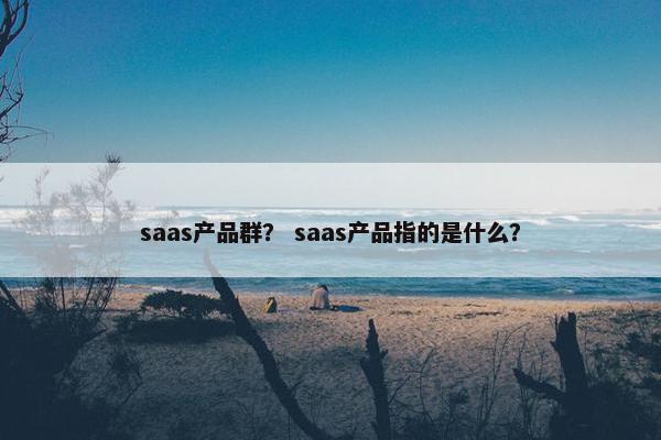 saas产品群？ saas产品指的是什么？