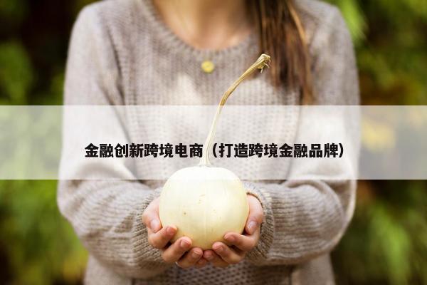 金融创新跨境电商（打造跨境金融品牌）