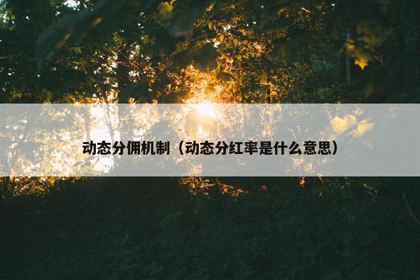 动态分佣机制（动态分红率是什么意思）