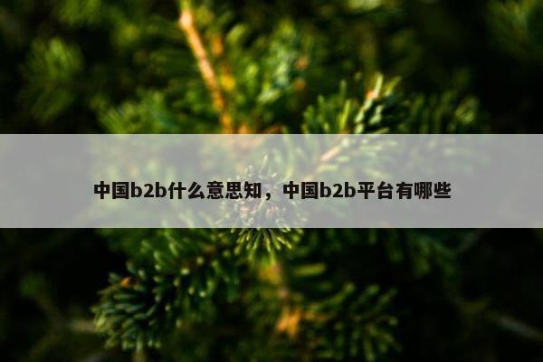 中国b2b什么意思知，中国b2b平台有哪些
