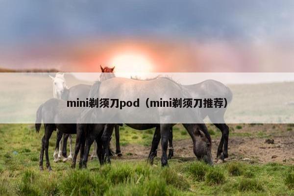 mini剃须刀pod（mini剃须刀推荐）
