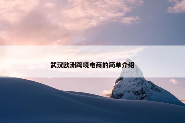 武汉欧洲跨境电商的简单介绍