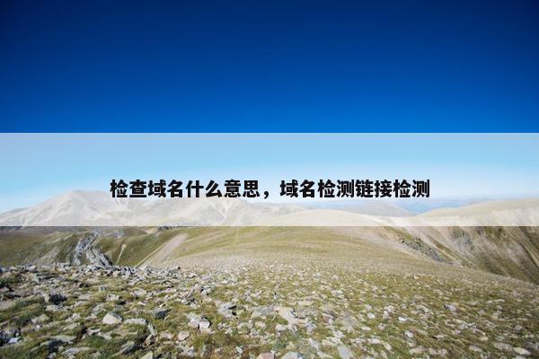 检查域名什么意思，域名检测链接检测