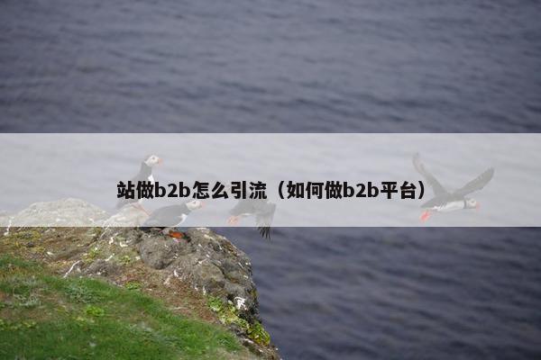 站做b2b怎么引流（如何做b2b平台）
