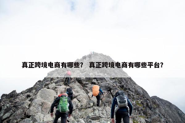 真正跨境电商有哪些？ 真正跨境电商有哪些平台？