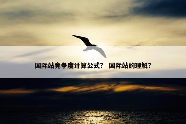 国际站竞争度计算公式？ 国际站的理解？