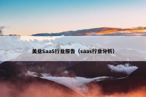 美业SaaS行业报告（saas行业分析）