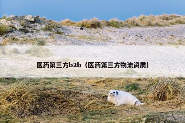 医药第三方b2b（医药第三方物流资质）