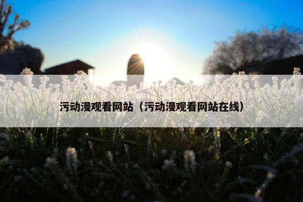 污动漫观看网站（污动漫观看网站在线）