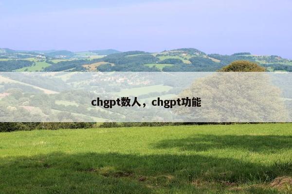 chgpt数人，chgpt功能