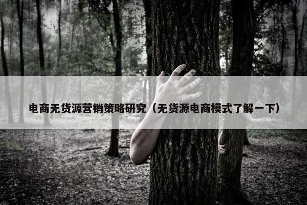 电商无货源营销策略研究（无货源电商模式了解一下）