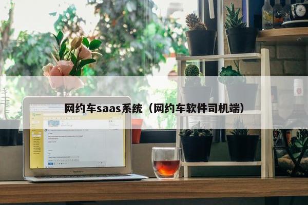 网约车saas系统（网约车软件司机端）