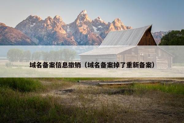 域名备案信息撤销（域名备案掉了重新备案）