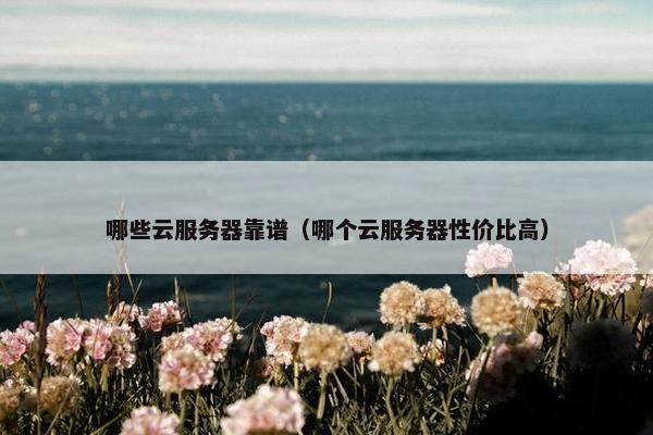 哪些云服务器靠谱（哪个云服务器性价比高）