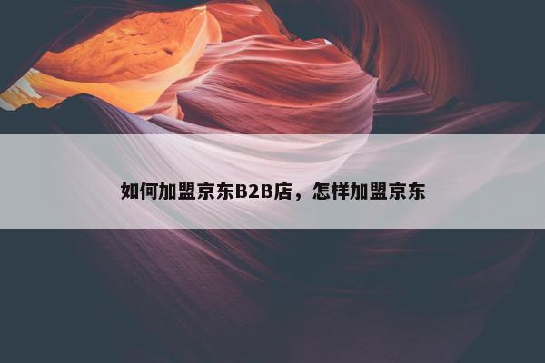 如何加盟京东B2B店，怎样加盟京东