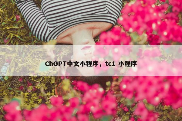 ChGPT中文小程序，tc1 小程序