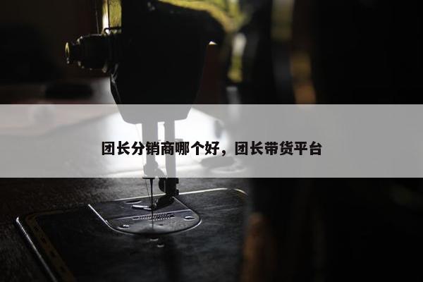 团长分销商哪个好，团长带货平台