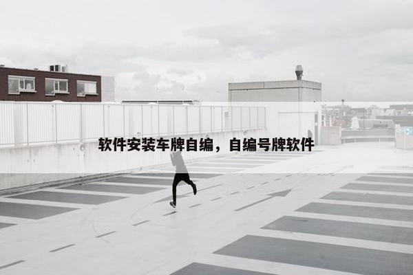 软件安装车牌自编，自编号牌软件