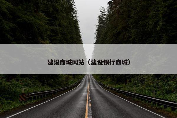 建设商城网站（建设银行商城）