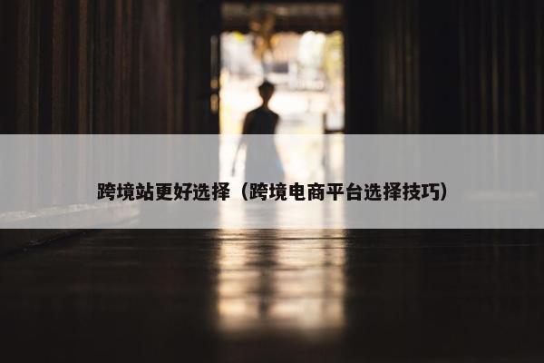 跨境站更好选择（跨境电商平台选择技巧）