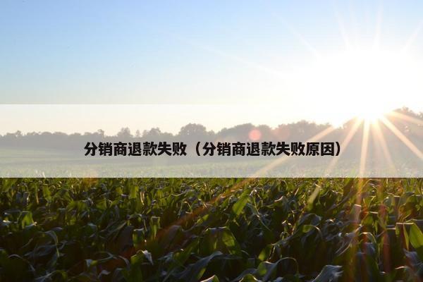 分销商退款失败（分销商退款失败原因）