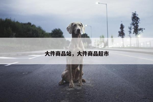 大件商品站，大件商品超市