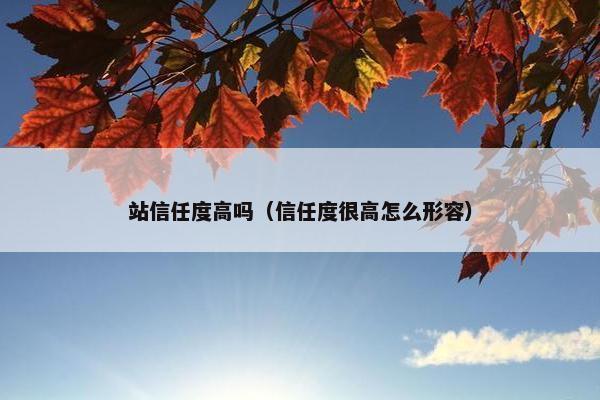 站信任度高吗（信任度很高怎么形容）