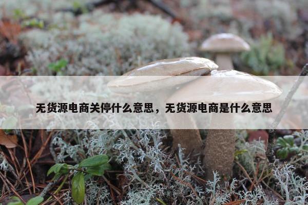 无货源电商关停什么意思，无货源电商是什么意思
