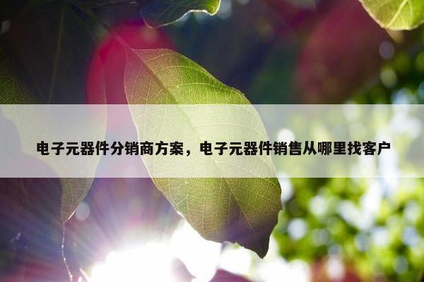 电子元器件分销商方案，电子元器件销售从哪里找客户