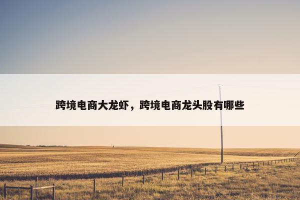 跨境电商大龙虾，跨境电商龙头股有哪些