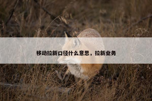 移动拉新口径什么意思，拉新业务