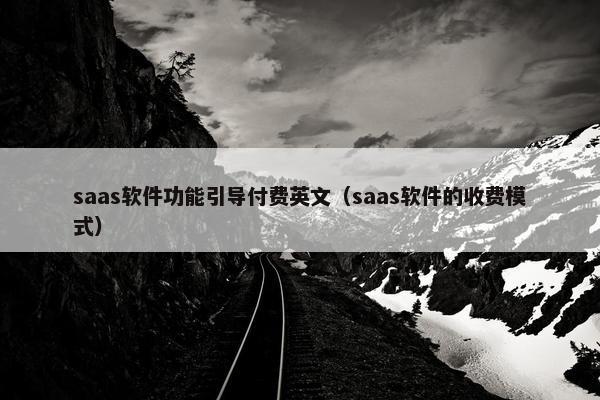 saas软件功能引导付费英文（saas软件的收费模式）