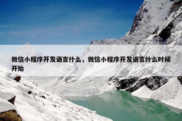 微信小程序开发语言什么，微信小程序开发语言什么时候开始