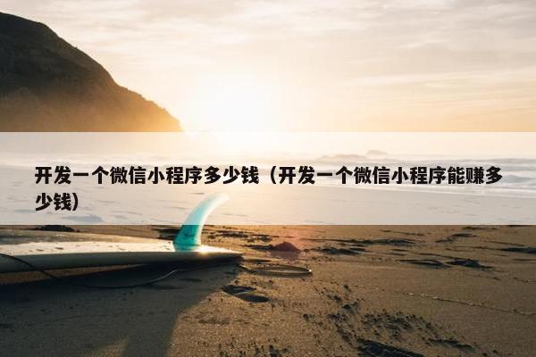开发一个微信小程序多少钱（开发一个微信小程序能赚多少钱）