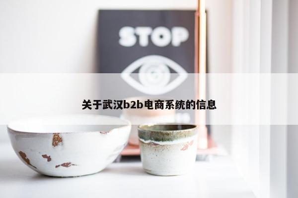 关于武汉b2b电商系统的信息