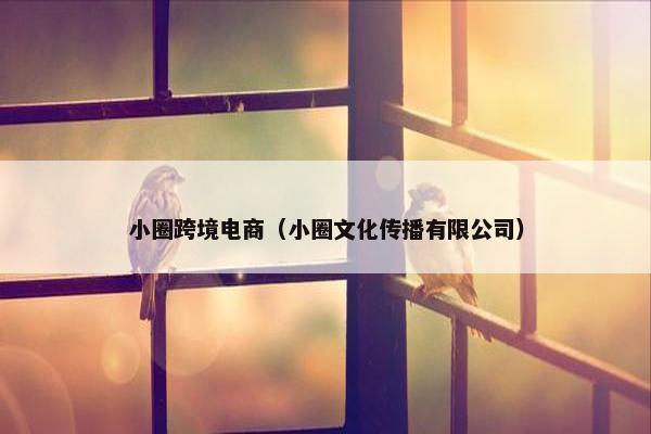 小圈跨境电商（小圈文化传播有限公司）