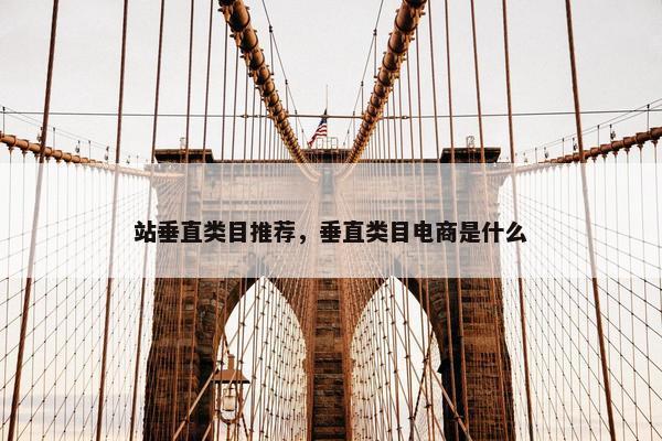 站垂直类目推荐，垂直类目电商是什么