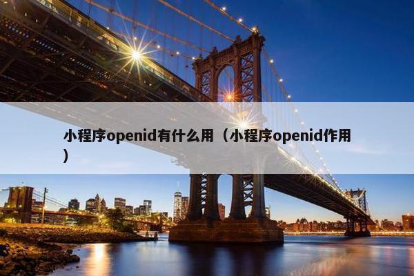 小程序openid有什么用（小程序openid作用）