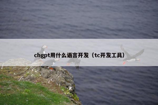 chgpt用什么语言开发（tc开发工具）