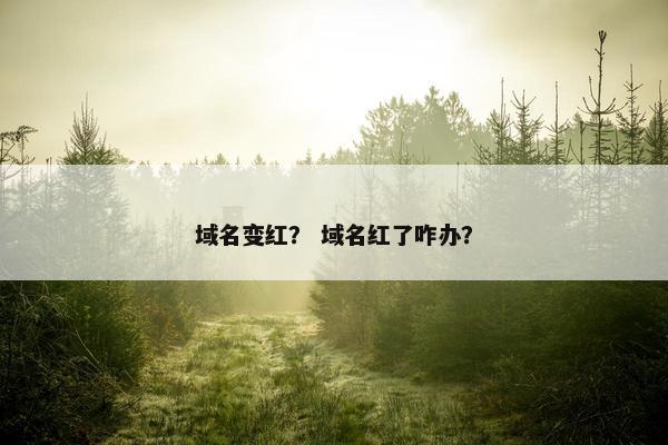 域名变红？ 域名红了咋办？