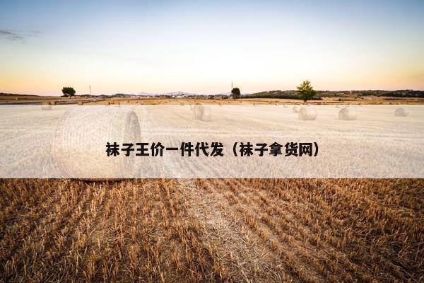 袜子王价一件代发（袜子拿货网）
