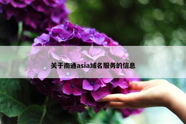 关于南通asia域名服务的信息