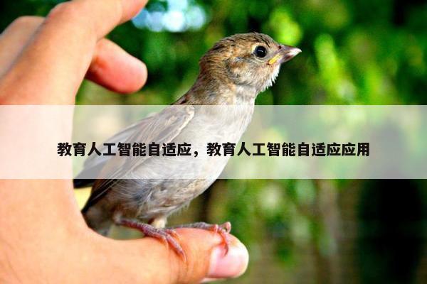 教育人工智能自适应，教育人工智能自适应应用