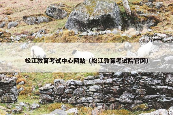 松江教育考试中心网站（松江教育考试院官网）